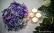MarziaWedding-18